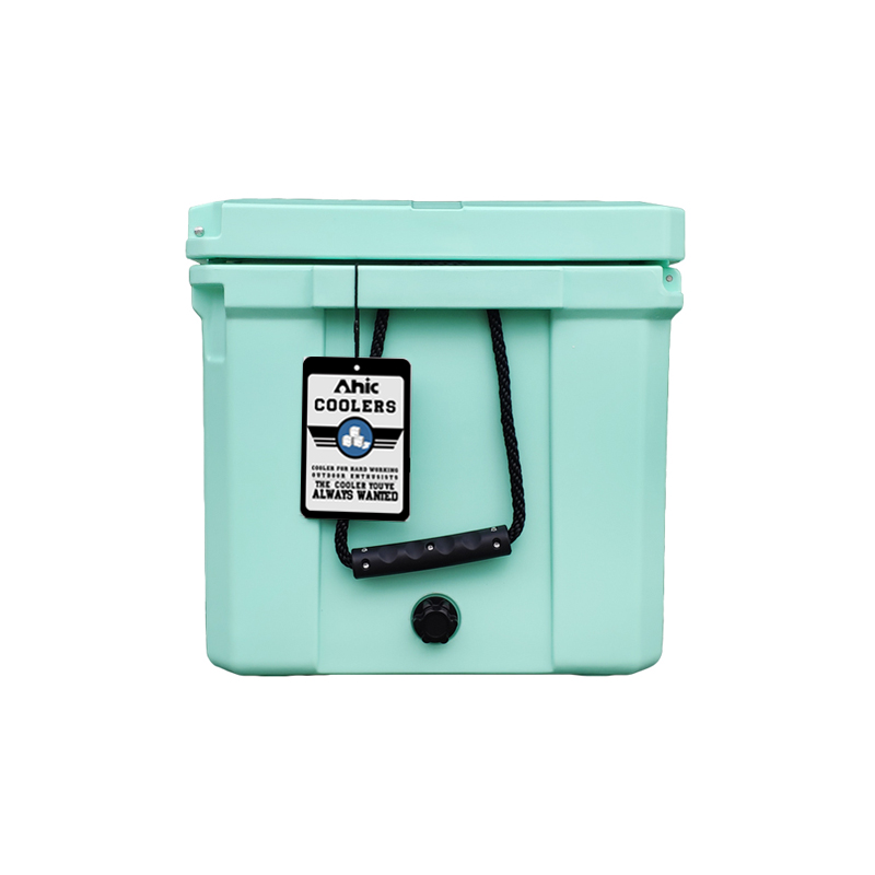 75L Insulated PE Ice Cooler Bo - Food & Snacks Pdf ulasan dan harga